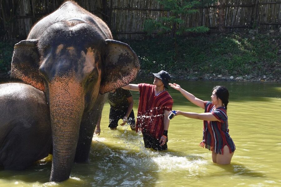 Phuket: Half Day or 2-Hour Ethical Elephant Care Sanctuary - Which package should you choose?