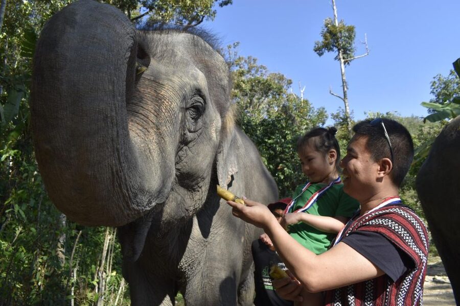 Phuket: Half Day or 2-Hour Ethical Elephant Care Sanctuary - Who will enjoy this most?