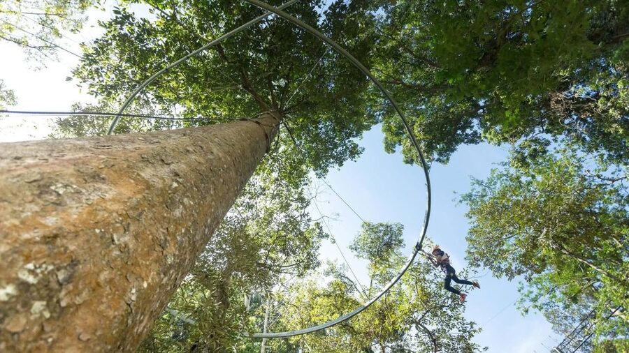 Phuket: Hanuman World Zip Line Adventure - Should you book Hanuman World?
