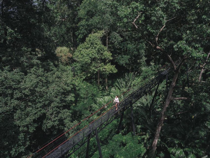 Phuket: Hanuman World Zip Line Adventure - High above Phuket’s forest canopy