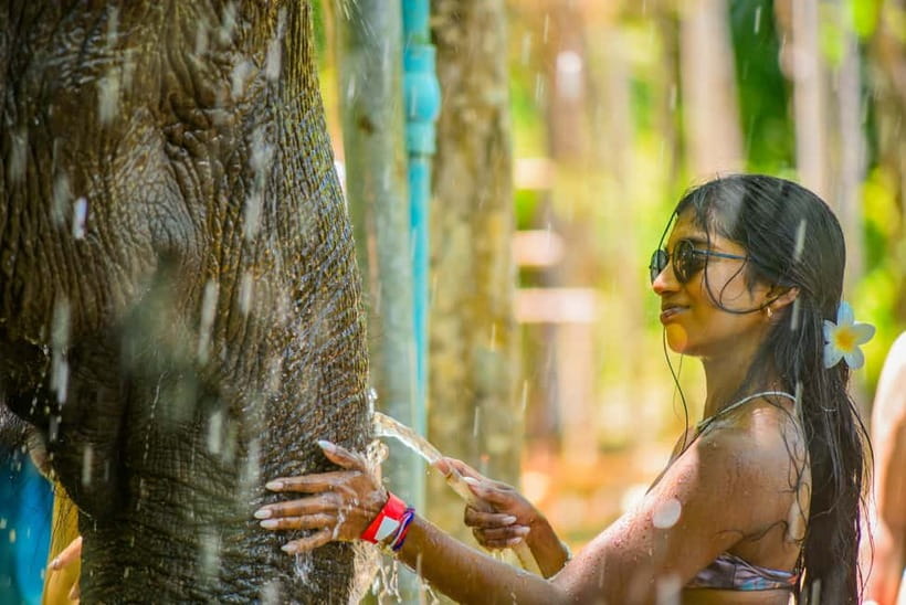 Phuket: Happy Hour Feed and Rain Shower with Elephant - Key points at a glance