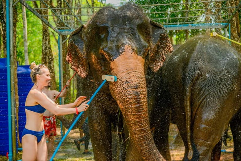 Phuket: Happy Hour Feed and Rain Shower with Elephant - Booking flexibility and cancellation