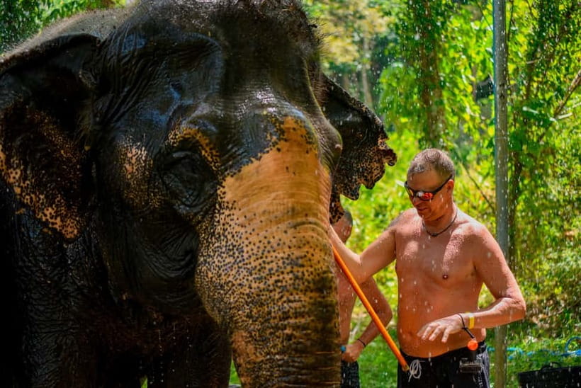Phuket: Happy Hour Feed and Rain Shower with Elephant - A close-to-nature setting near the beach