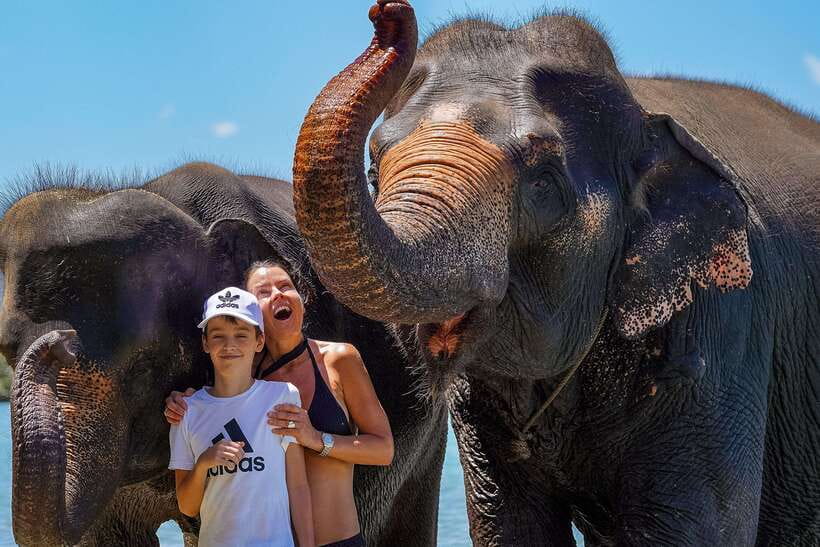 Phuket: Happy Hour Feed and Rain Shower with Elephant - What the $37 price really covers