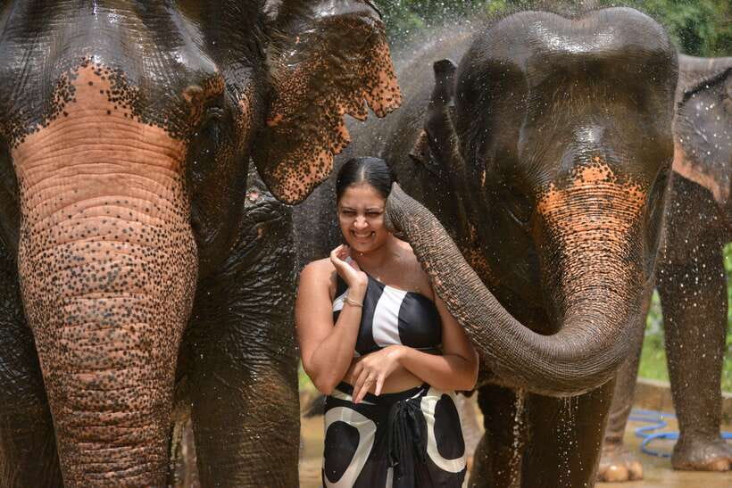 Phuket: Happy Hour Feed and Rain Shower with Elephant - Finding the camp without a transfer