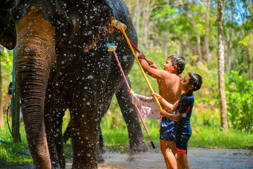 Phuket: Happy Hour Feed and Rain Shower with Elephant - What to bring and what to skip