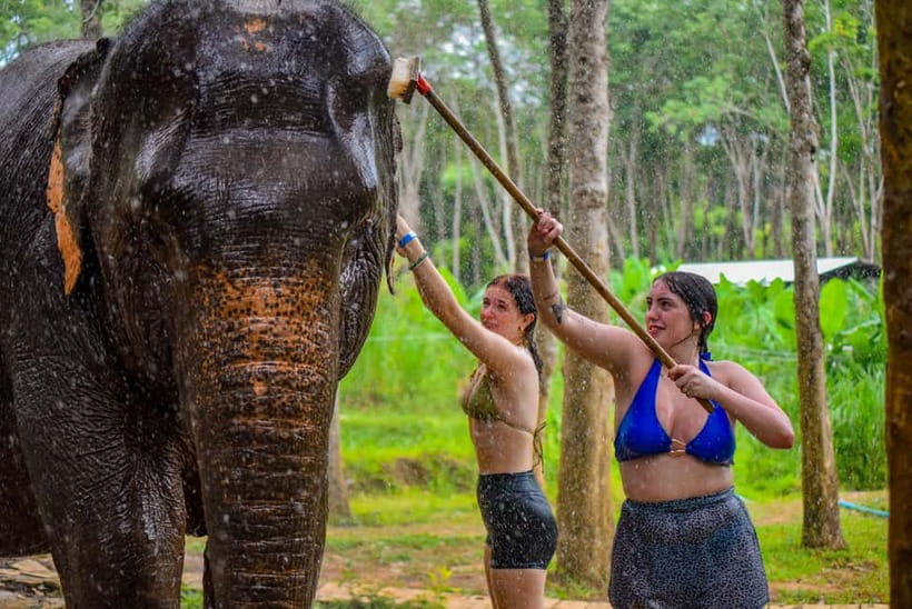 Phuket: Happy Hour Feed and Rain Shower with Elephant - Who will enjoy this afternoon visit