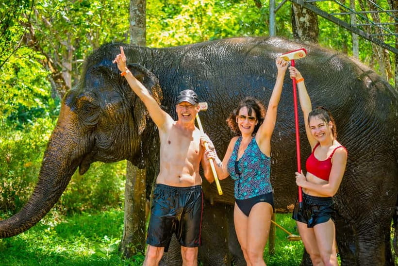 Phuket: Happy Hour Feed and Rain Shower with Elephant - Feeding the elephants by hand