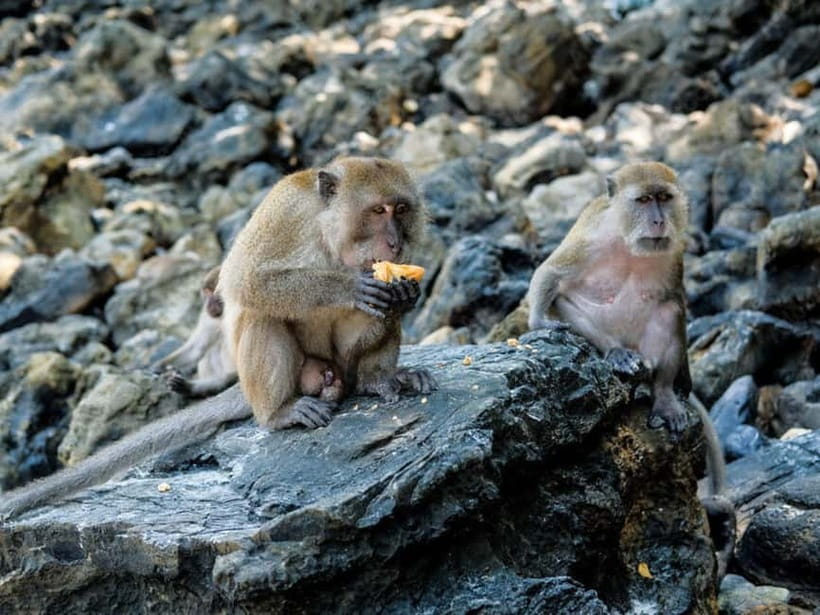 Phuket: James Bond Island Sea Canoe with lunch by Big Boat - Panak Island and the first canoe trip
