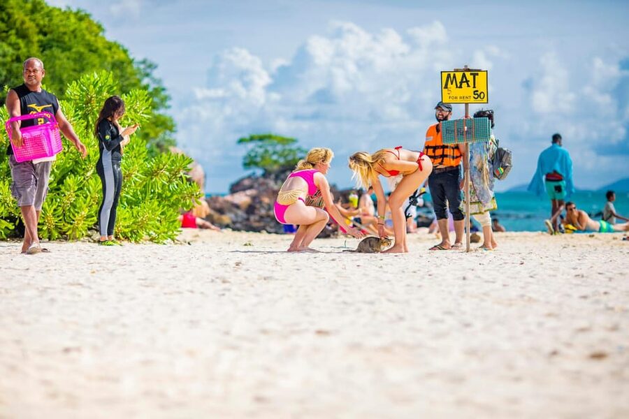 Phuket: Khai Islands Premium Speedboat Half Day Adventure - Key points at a glance