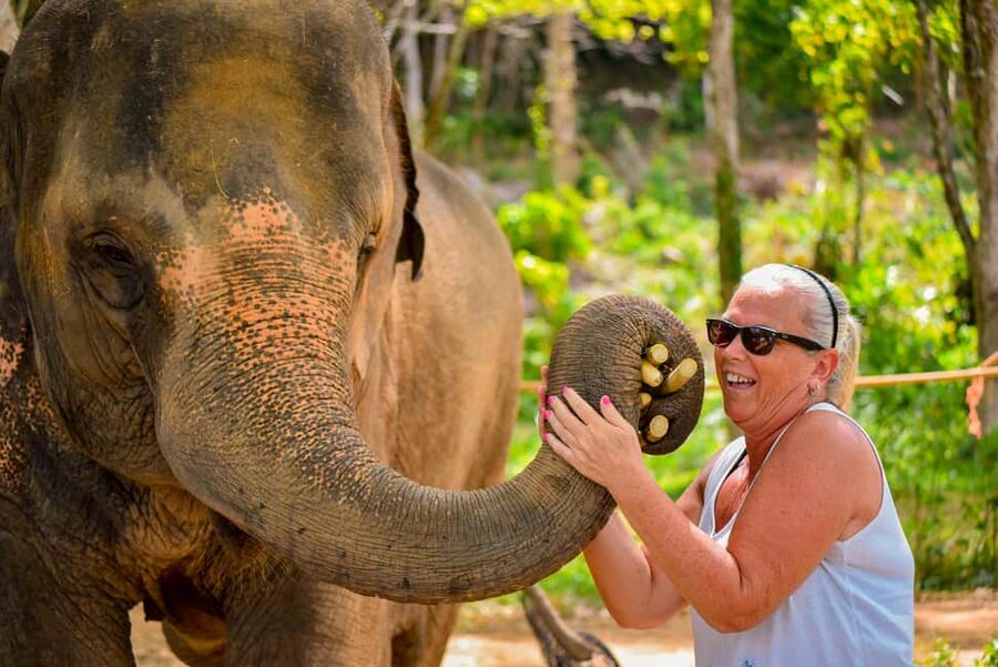 Phuket: Make & Meet The Gentle Giant Experience - Making vitamin balls at Lily Elephant Camp