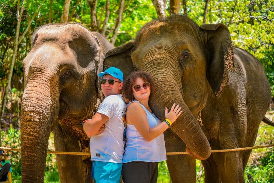 Phuket: Make & Meet The Gentle Giant Experience - A closer look at the elephant care purpose