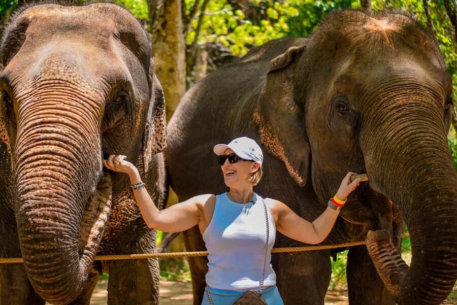 Phuket: Make & Meet The Gentle Giant Experience - Language, access, and comfort