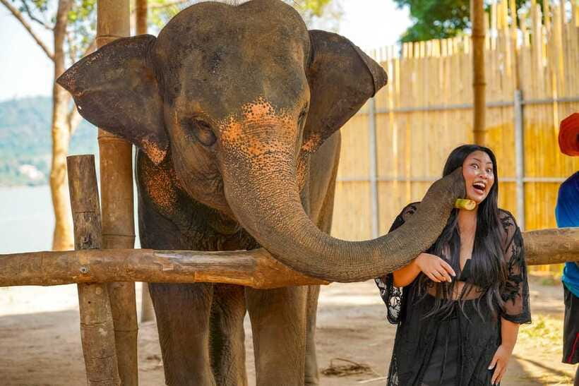 Phuket: Make & Meet The Gentle Giant Experience - The camp’s style and atmosphere