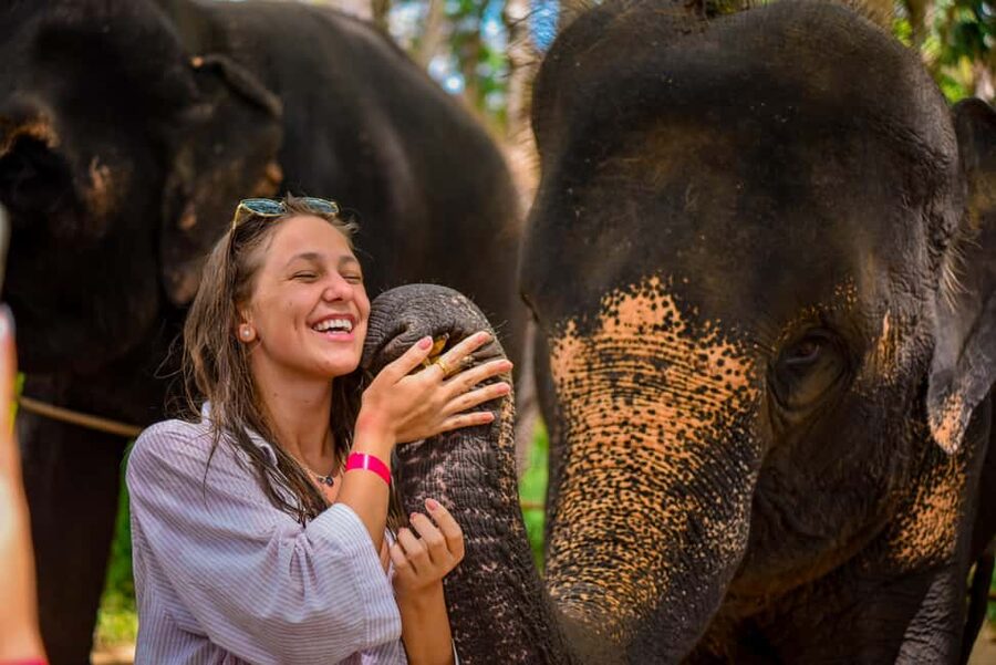 Phuket: Make & Meet The Gentle Giant Experience - Who should book this elephant experience?