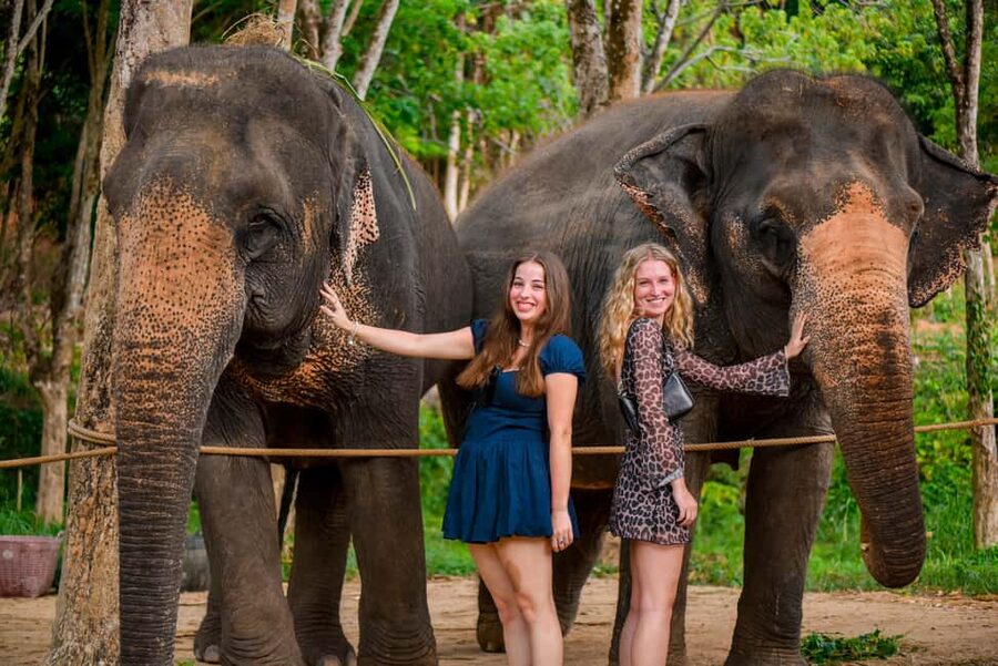 Phuket: Make & Meet The Gentle Giant Experience - What the 2.5-hour visit feels like