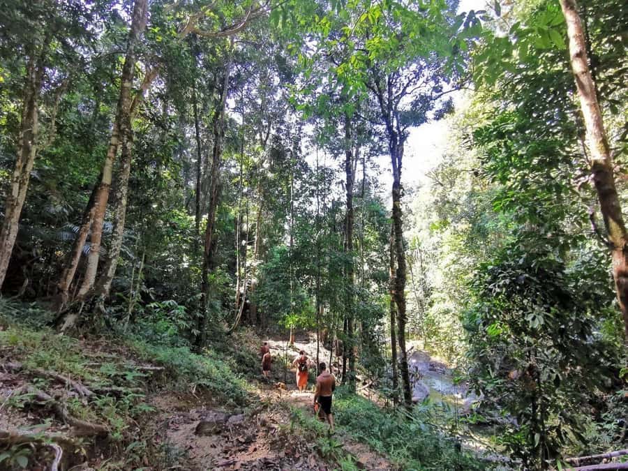 Phuket: Monkey Cave, Water Rafting, Zipline with ATV Option - Forest walking and the waterfall stop