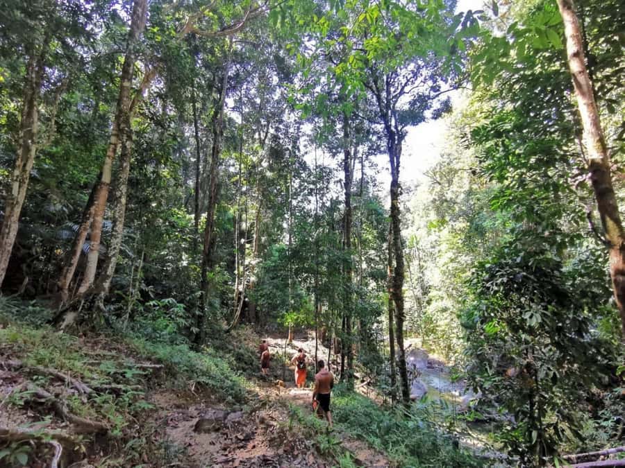 Phuket: Monkey Cave, Water Rafting, Zipline with ATV Option - Lunch at the adventure camp