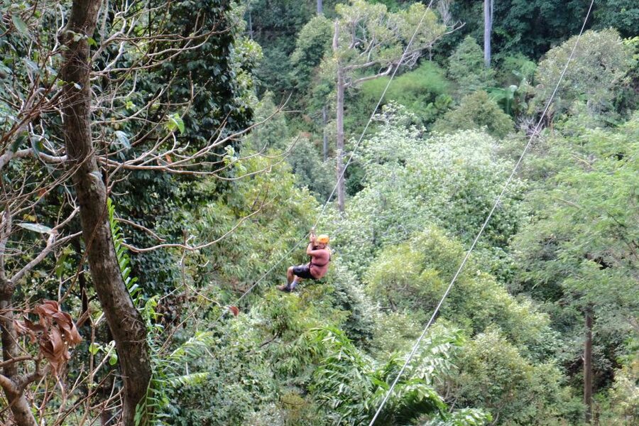 Phuket: Paradise Jungle Zipline Adventure - Should you book Paradise Jungle Zipline?