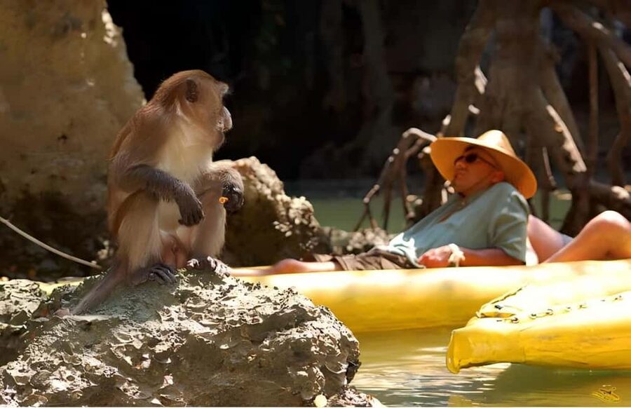 Phuket: Phang Nga,Hong & James Bond Islands by Big Boat - Key things to know before you book