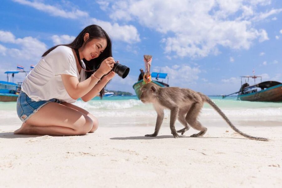Phuket: Phi Phi Islands and Maya Bay Day Trip with Lunch - Monkey Beach and the reality of wildlife stops