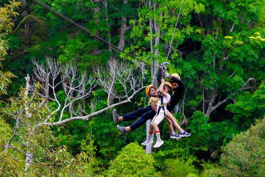Phuket: Rainforest Eco Zipline Expedition - Should you book the Phuket rainforest zipline?