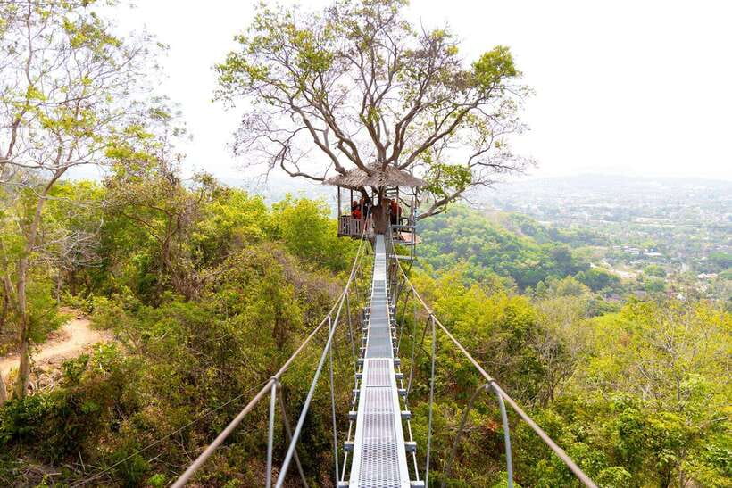 Phuket: Zipline Flying Higher than a Hawk with ATV Option - A quick route from hotel lobby to jungle canopy