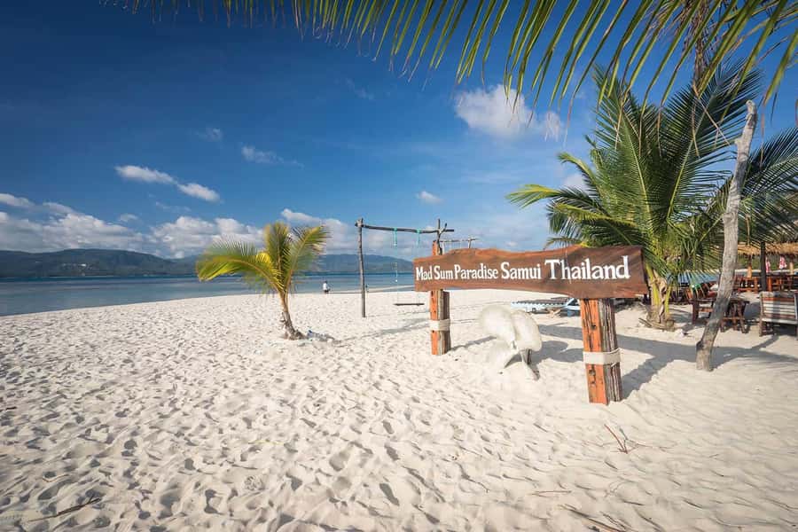 Pig Island(Koh Mudsum) and Koh Tan Half Day Snorkeling Tour - Why Pig Island makes this trip different