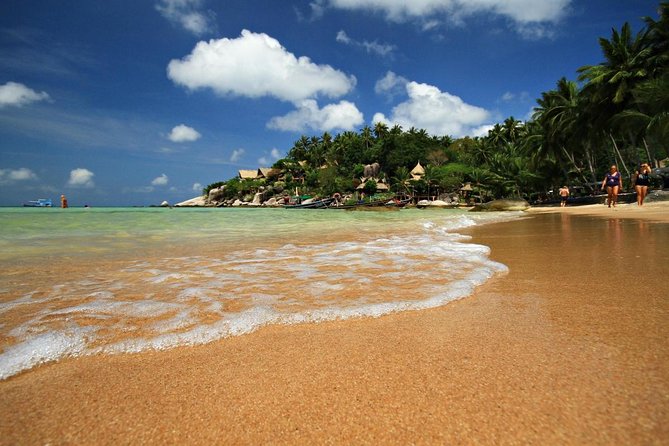 Pig Island Tour by Speedboat with Snorkeling - The quick facts before you book