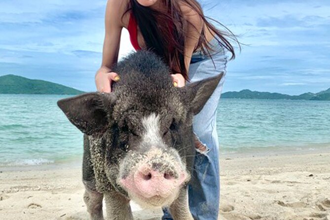 Pig Island Tour by Speedboat with Snorkeling - Speeding from Koh Samui to Koh Madsum