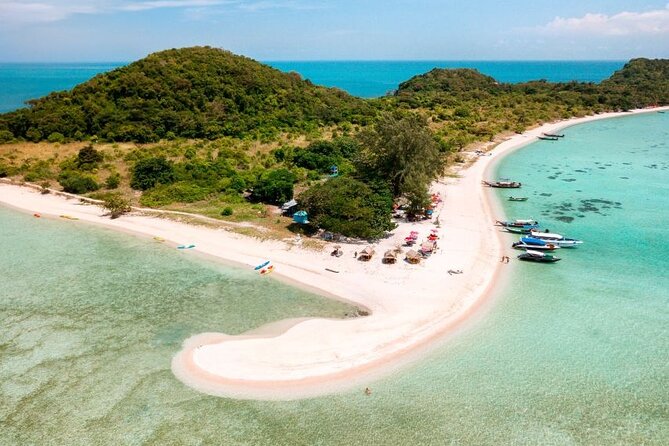 Pig Island Tour by Speedboat with Snorkeling - Meeting the pigs on Koh Madsum