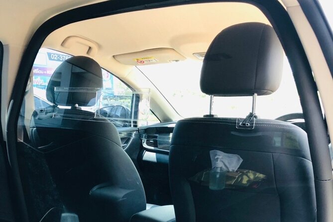 Private 100% Electric Transfer: Bangkok Airport Pickup/Drop-Off - The electric vehicle and the one-hour ride