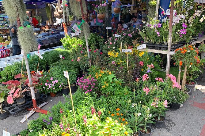 Private Exclusive Guided Chatuchak Weekend Market Shopping Tour - Guide quality matters more than usual