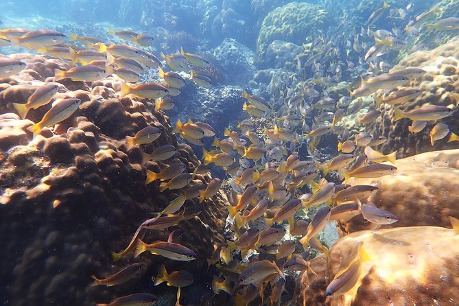 Private Full-Day Red Dragon Yacht to Angthong National Marine Park - Koh Wao and the best water activity