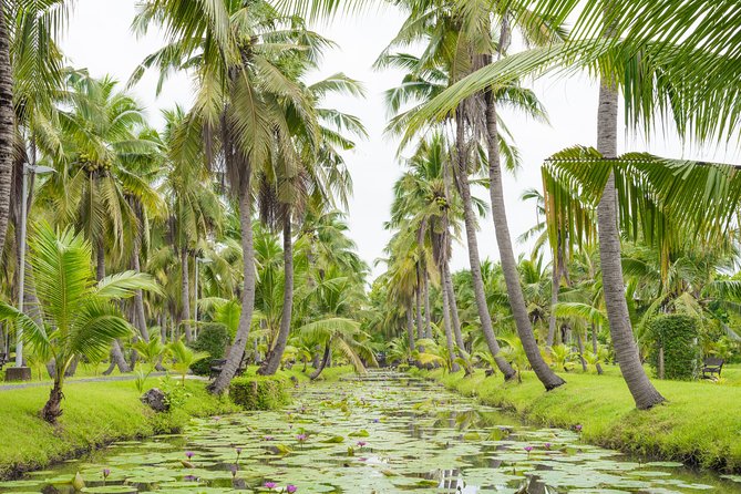 Private Tour: Floating Markets and Suan Sampran Day Trip from Bangkok - Price, value, and who should book