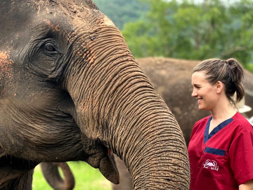 Rantong elephant sanctuary Chiangmai - Practical details worth knowing