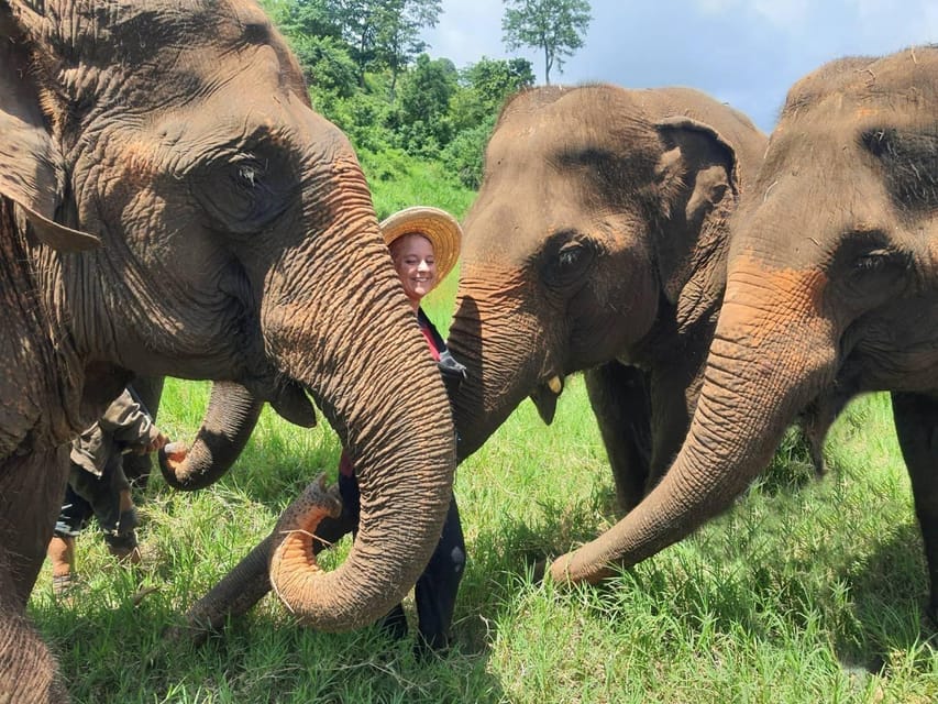 Rantong elephant sanctuary Chiangmai - Guides, languages, and the pace of the visit