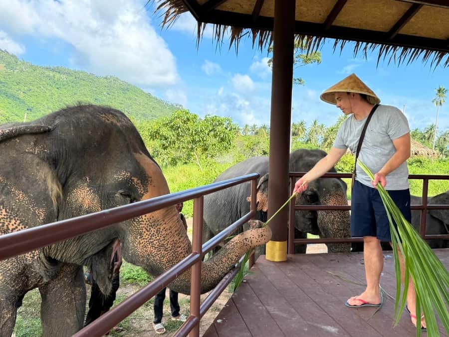 Samui:Elephant Jungle experience & The First Elephant Museum - Making seed bombs for the forest