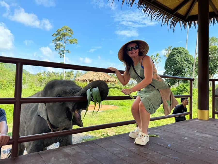 Samui:Elephant Jungle experience & The First Elephant Museum - Who should book this experience?