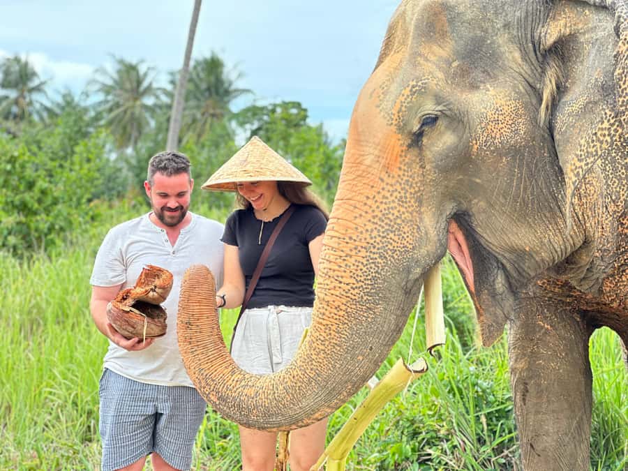 Samui:Elephant Jungle experience & The First Elephant Museum - Meeting the elephants in the jungle