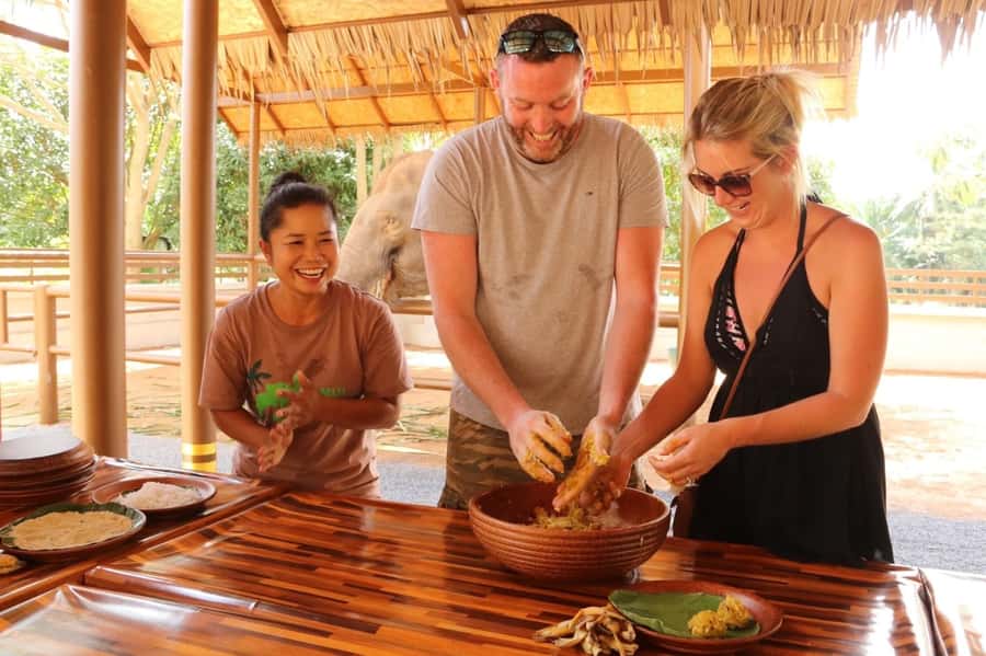 Samui: Elephant Nutrition and Care Education Experience - Key points to know before you go
