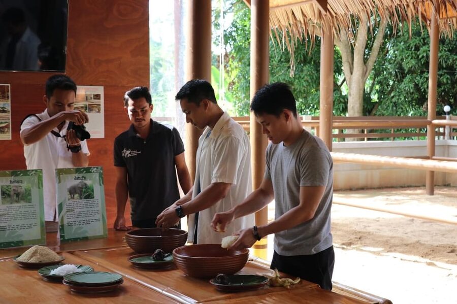Samui: Elephant Nutrition and Care Education Experience - Feeding the elephants without turning them into props