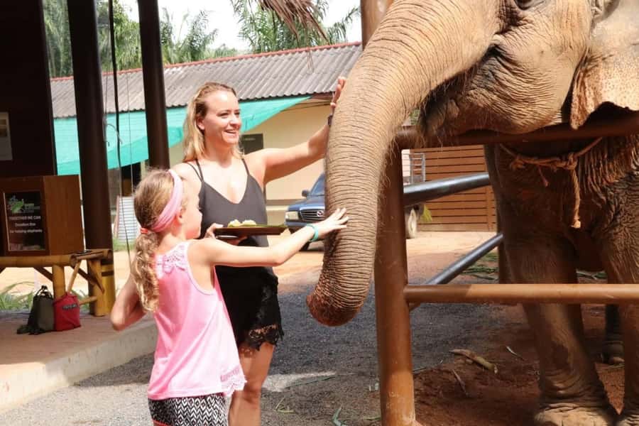 Samui: Elephant Nutrition and Care Education Experience - What the ethical approach means here