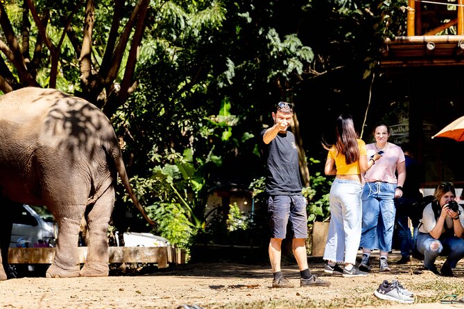 Scooter Adventure with elephants, views and FUN drive yourself - The ride from city streets to wooded tracks