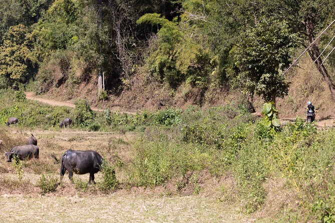 Scooter Adventure with elephants, views and FUN drive yourself - What to bring and how to prepare