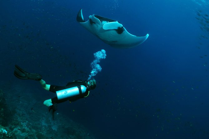 Scuba Dive in Koh Lanta, Thailand - Why this Koh Lanta boat day works well