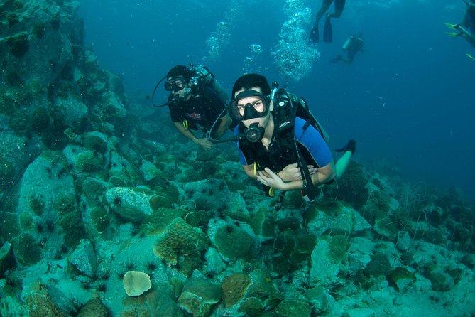 Scuba Diving Day Trip at Koh Chang – 2 Dives - What the HTMS Chang wreck adds to the day