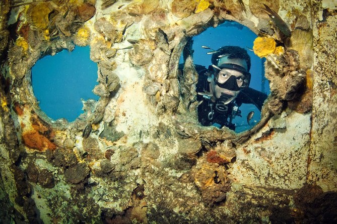 Scuba Diving Day Trip at Koh Chang – 2 Dives - Who should book this Koh Chang trip