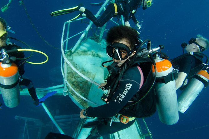 Scuba Diving Day Trip at Koh Chang – 2 Dives - A small boat group changes the experience