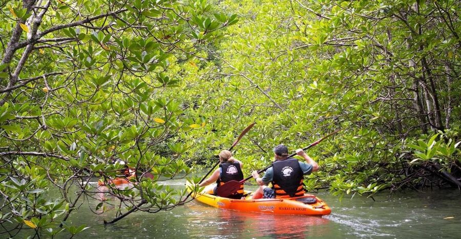 Sea Kayaking in Ao Thalane & Optional Full-Day Hong Island - What the $37 starting price covers